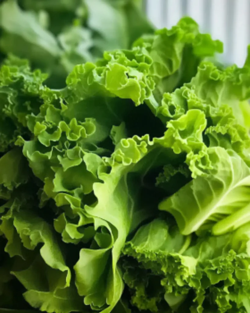 Rinsing fresh mustard greens in cold water to remove dirt and grit.