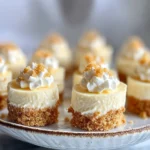 Mini vanilla cheesecakes with graham cracker crust and whipped cream topping displayed on a ceramic cake stand.