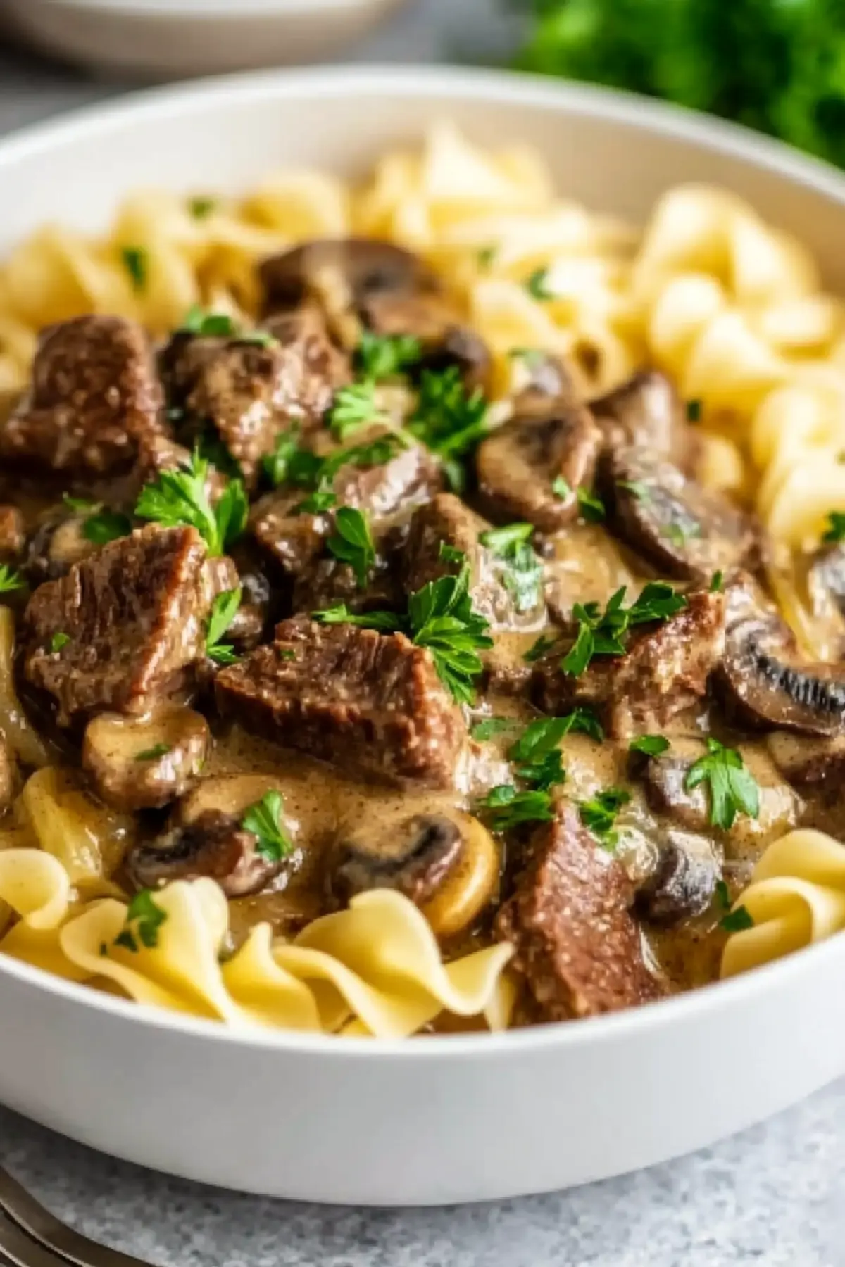 Beef Stroganoff with Stew Meat