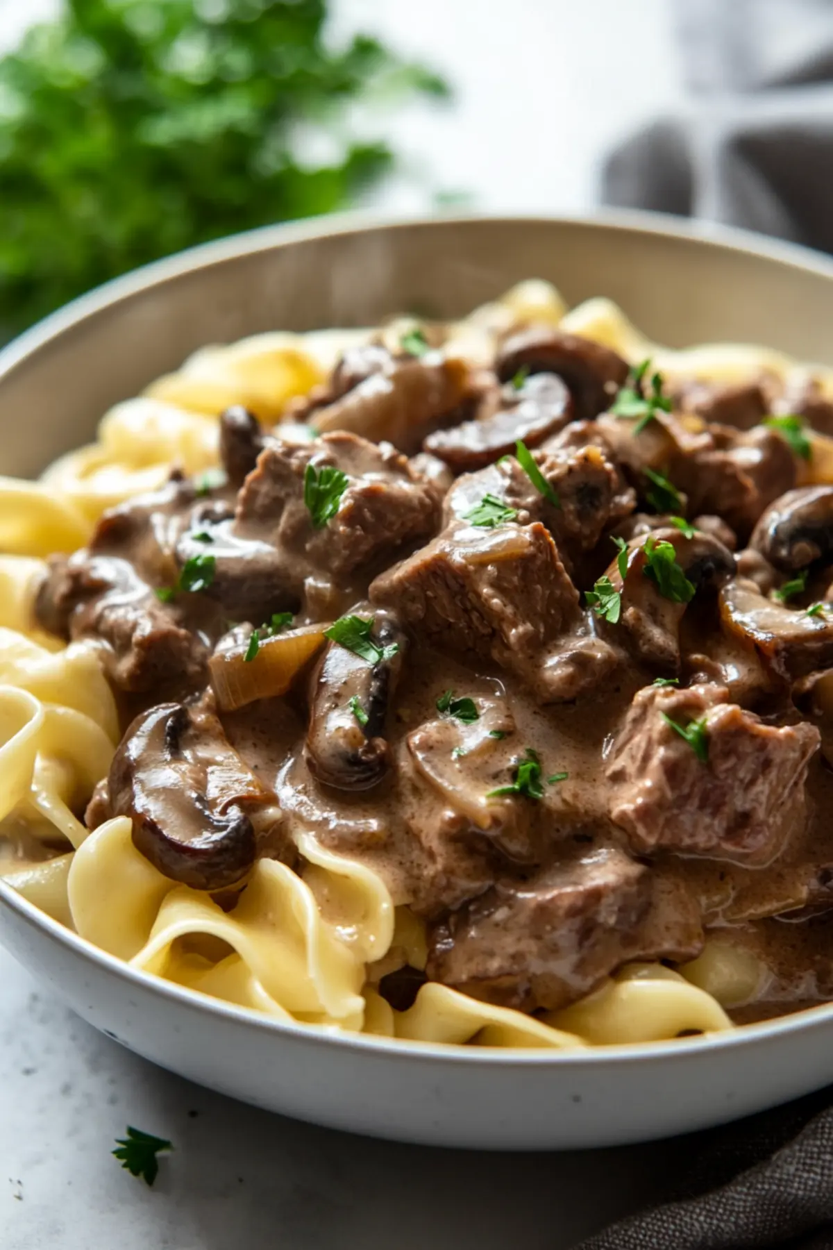 Beef Stroganoff with Stew Meat