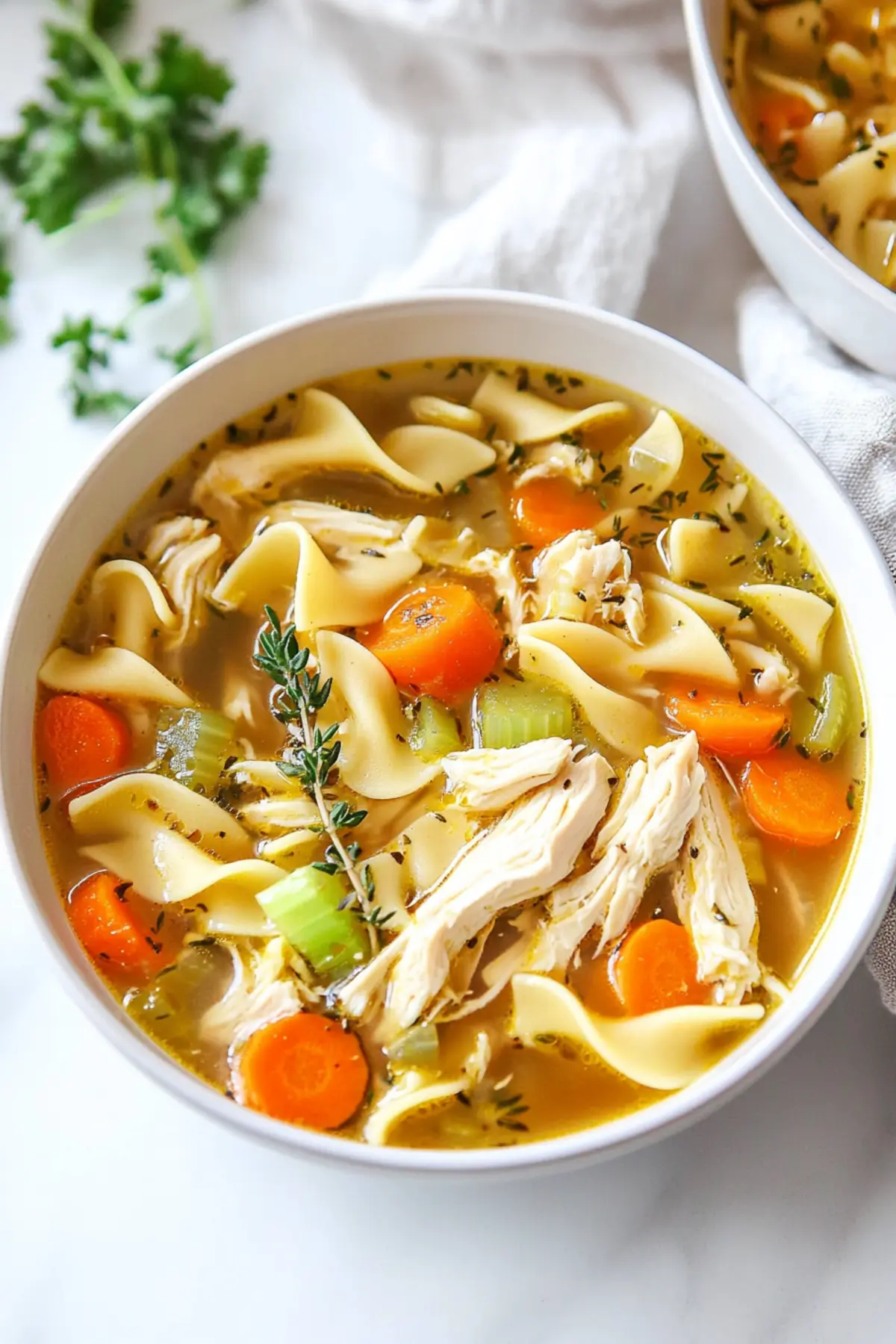 Chicken Noodle Soup with Egg Noodles