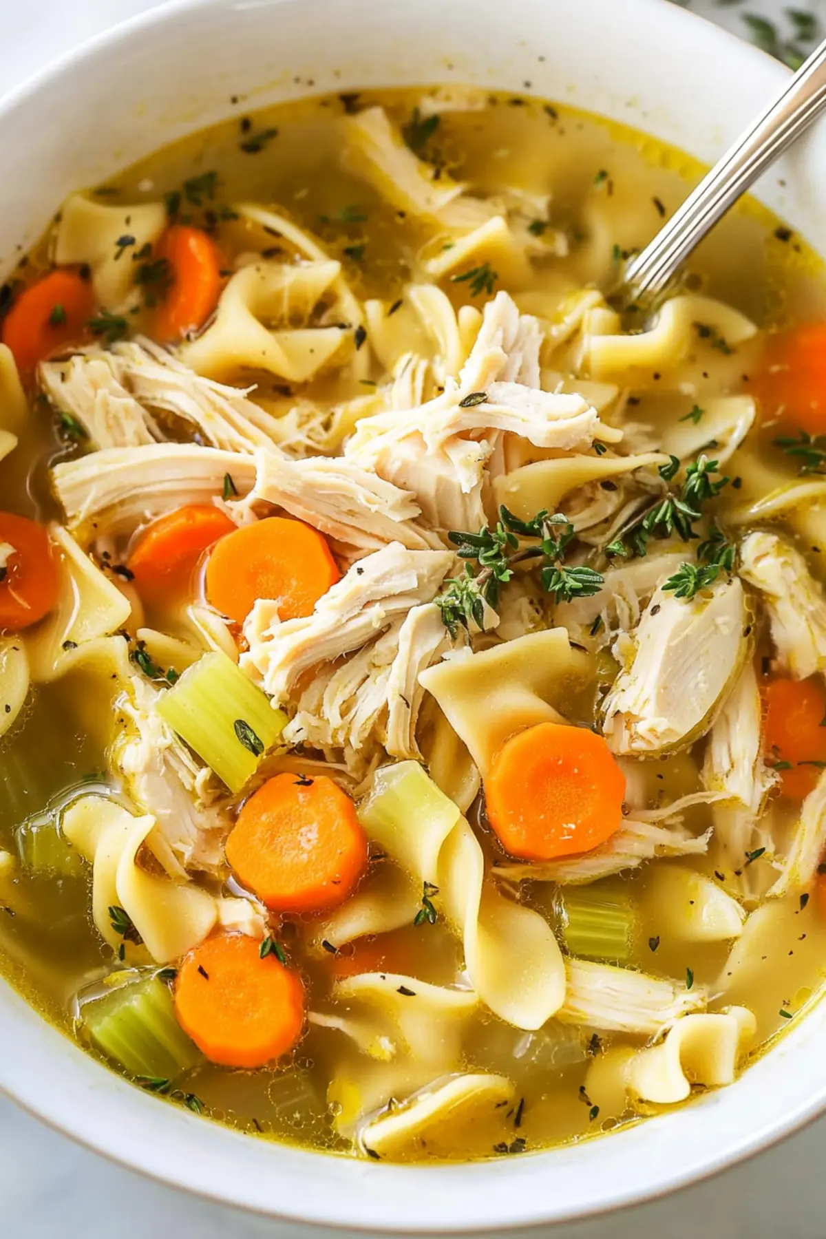 Chicken Noodle Soup with Egg Noodles