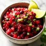 Cranberry Salsa