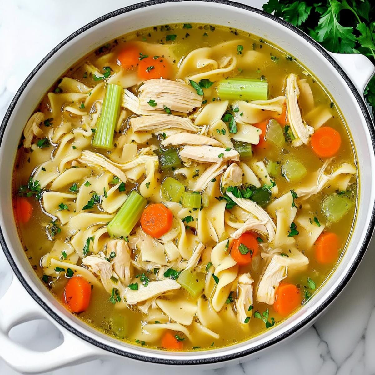 Chicken Noodle Soup
