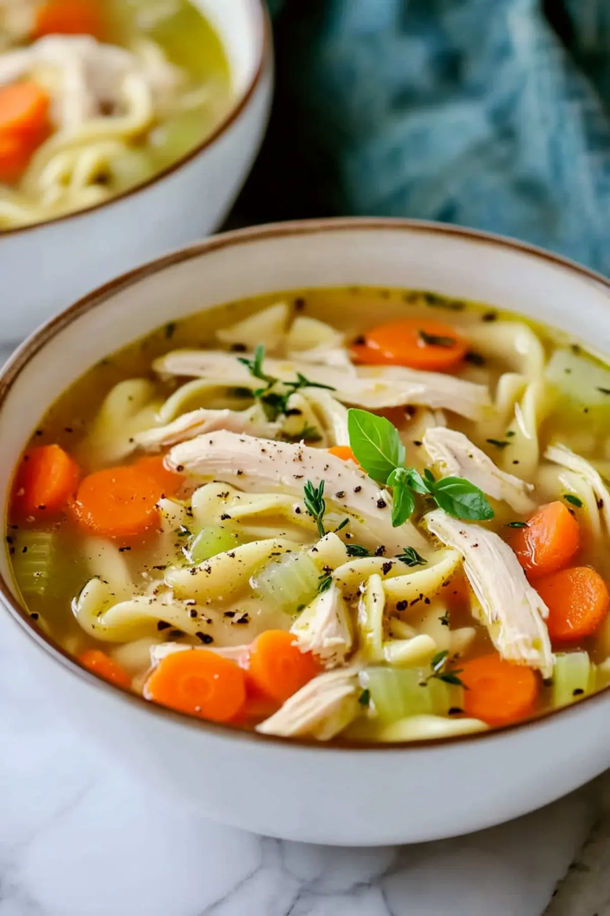 Chicken Noodle Soup