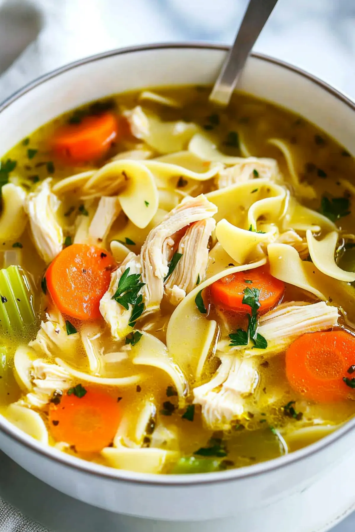Chicken Noodle Soup