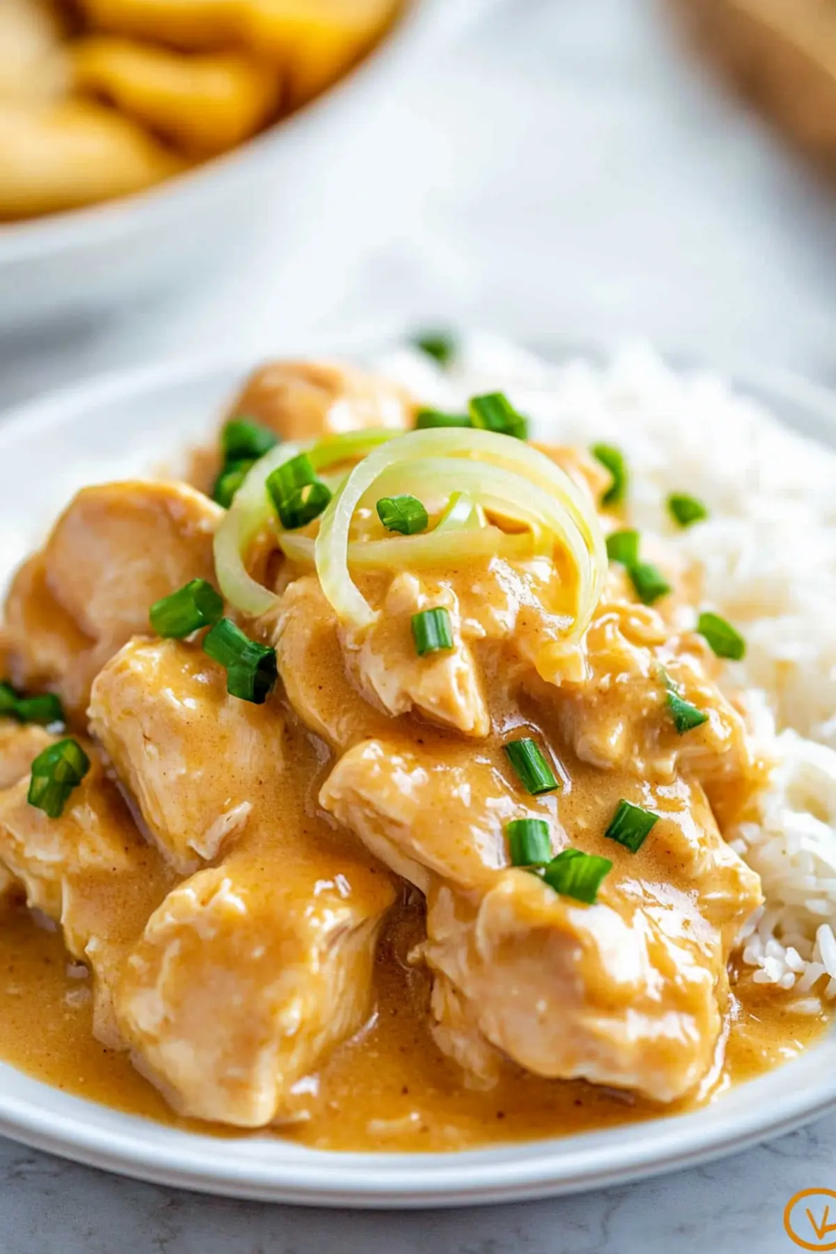 Crock Pot Chicken and Gravy