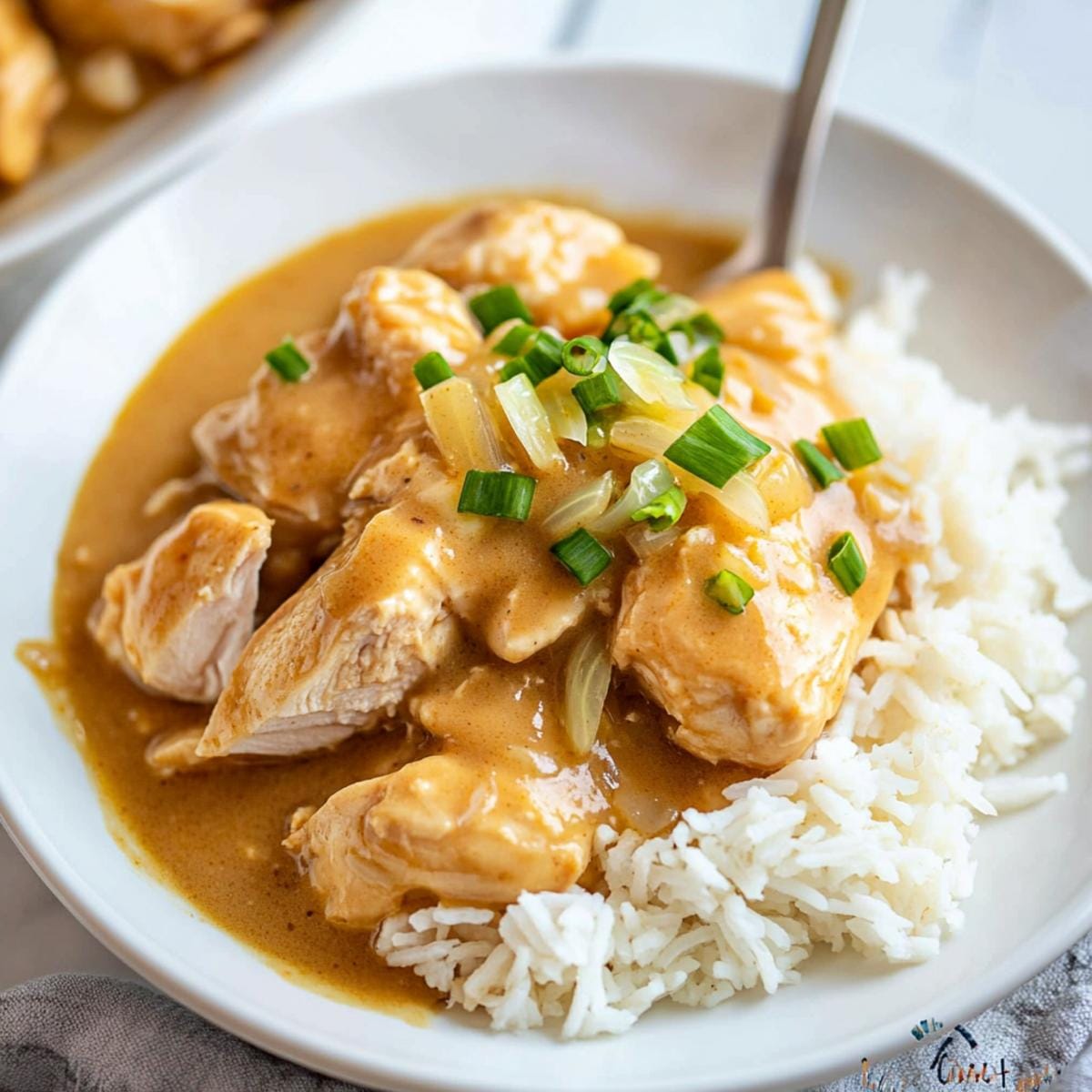 Crock Pot Chicken and Gravy